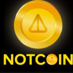 All You Need to Know About Notcoin