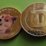 Can Dogecoin reach $10,000? Things You Must Know